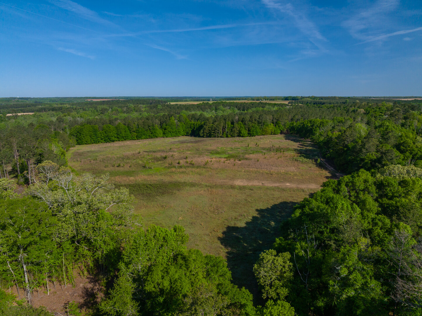 Image for 529+/- Acres Located in Webster County, Georgia - The Wills Estate