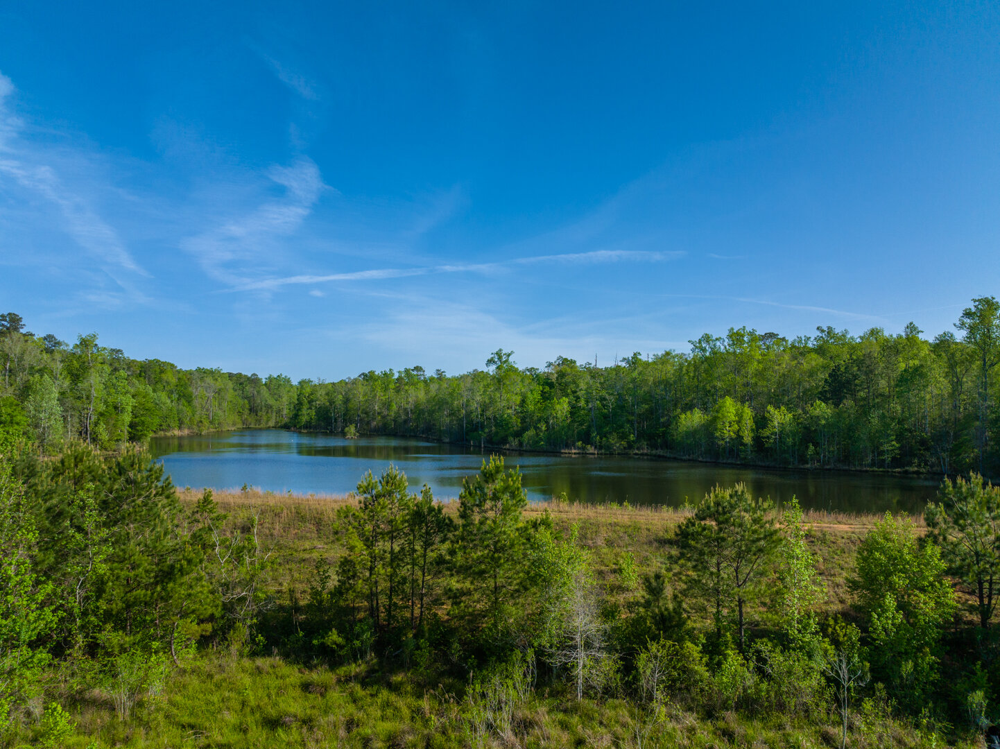 Image for 529+/- Acres Located in Webster County, Georgia - The Wills Estate