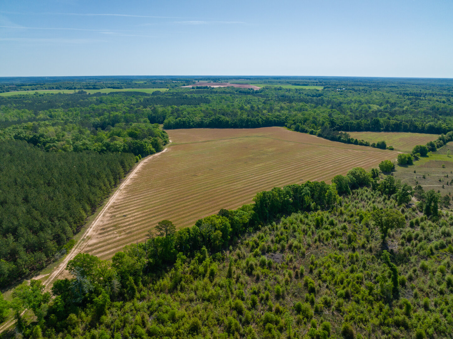 Image for 529+/- Acres Located in Webster County, Georgia - The Wills Estate