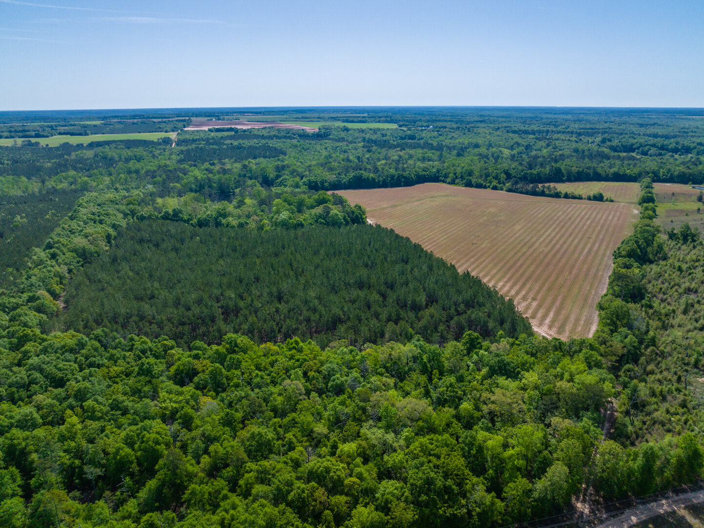 Image for 529+/- Acres Located in Webster County, Georgia - The Wills Estate