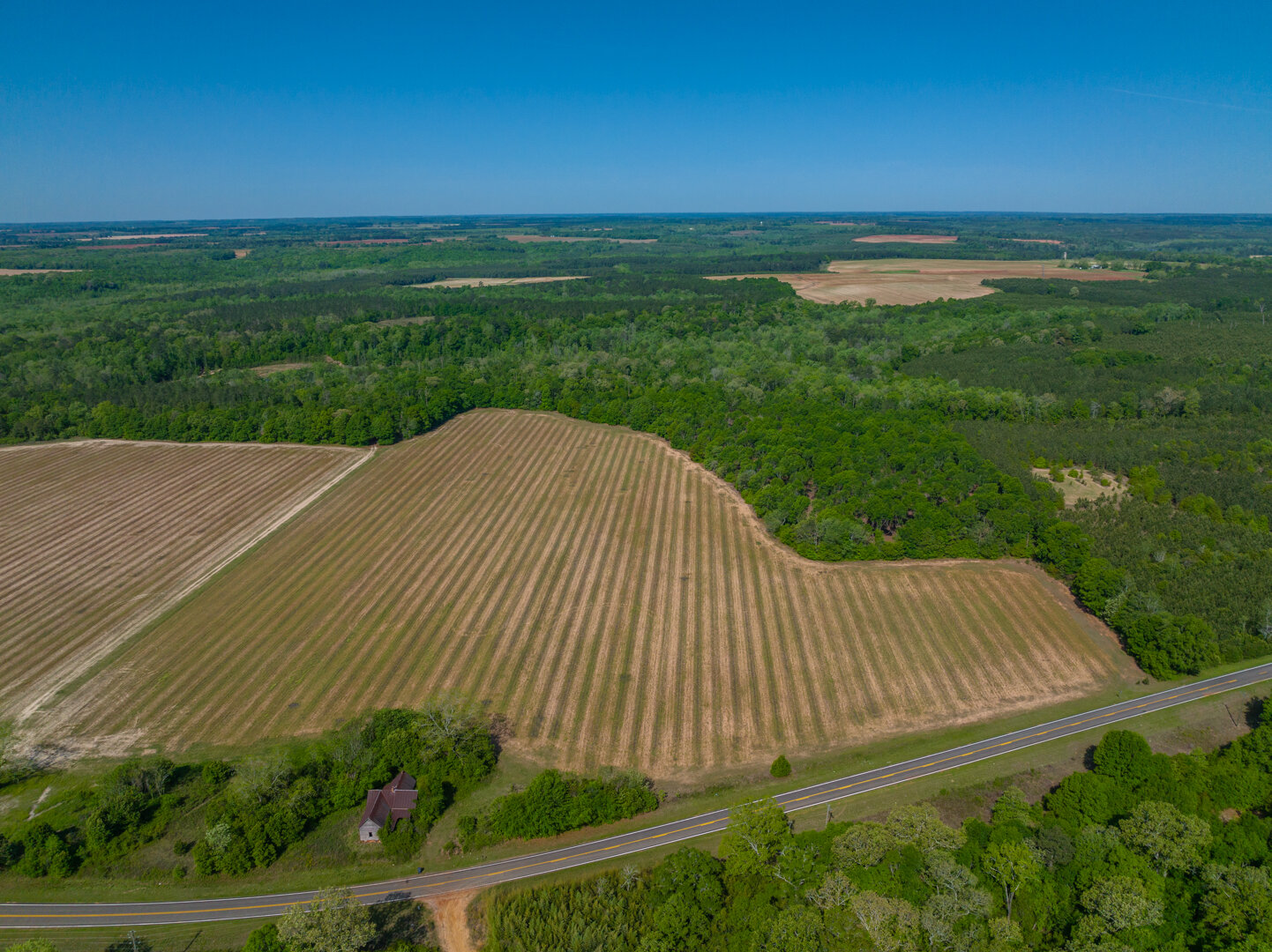 Image for 529+/- Acres Located in Webster County, Georgia - The Wills Estate