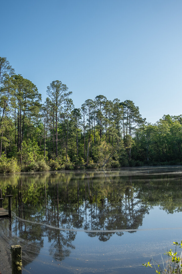 Image for 529+/- Acres Located in Webster County, Georgia - The Wills Estate