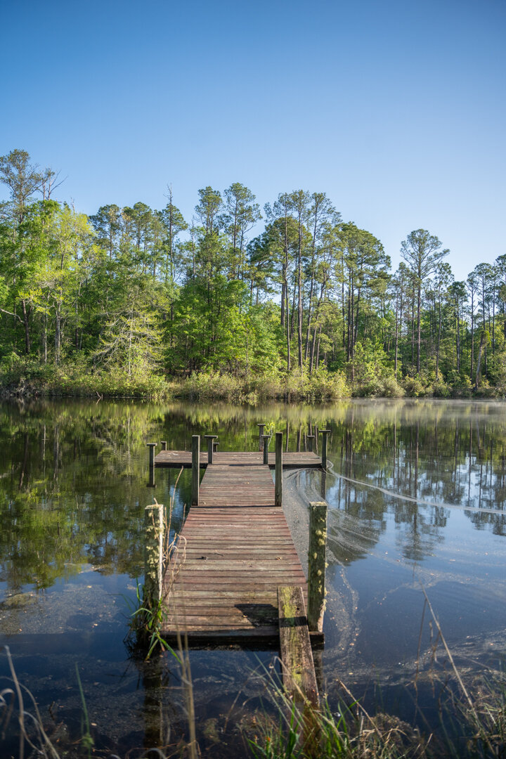 Image for 529+/- Acres Located in Webster County, Georgia - The Wills Estate