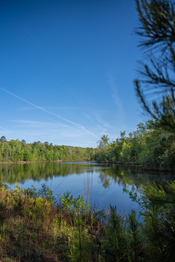 Image for 529+/- Acres Located in Webster County, Georgia - The Wills Estate