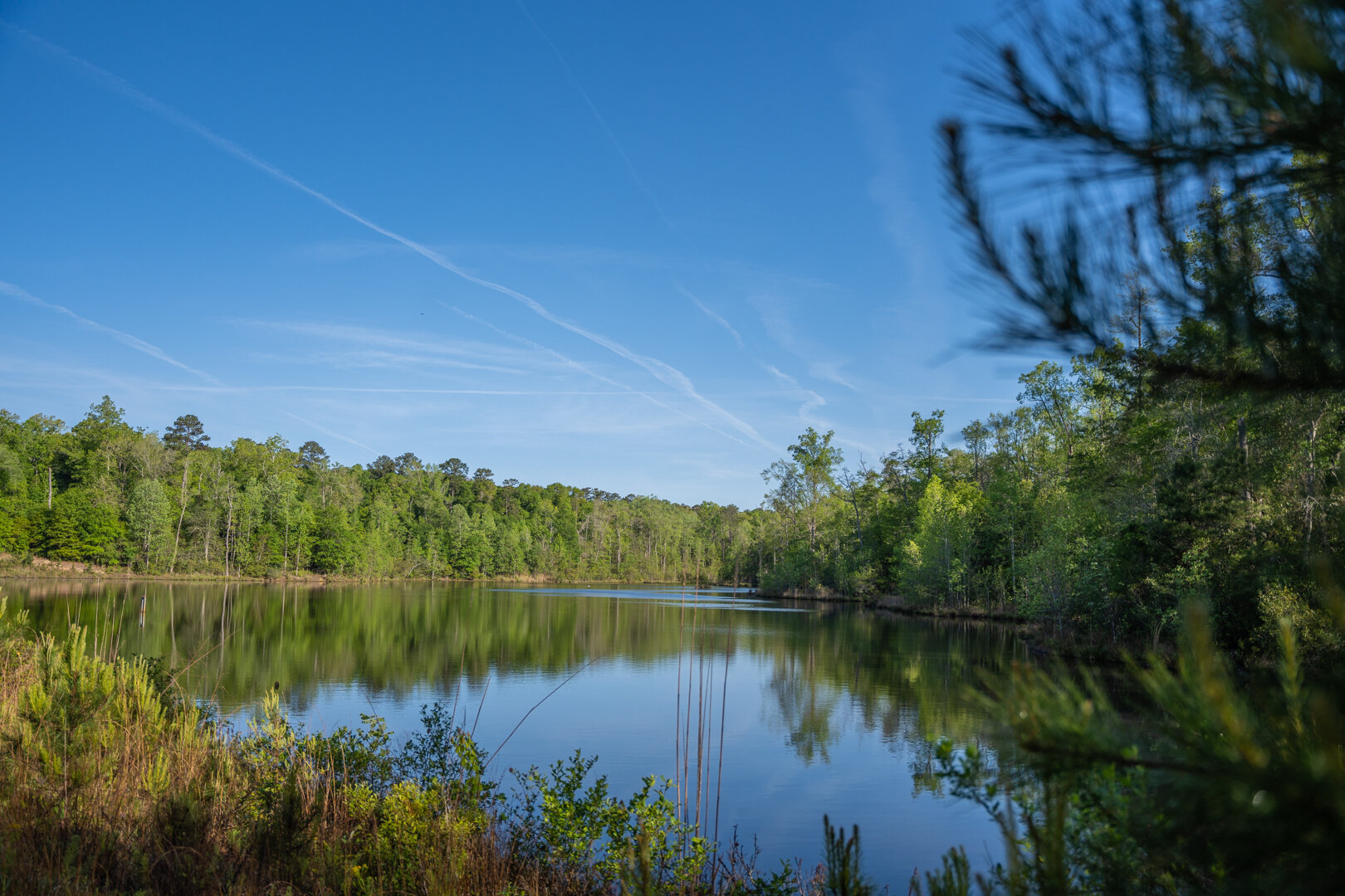 Image for 529+/- Acres Located in Webster County, Georgia - The Wills Estate