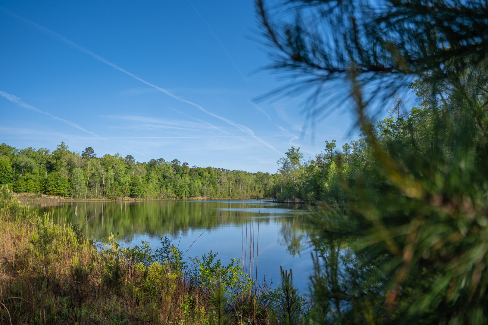 Image for 529+/- Acres Located in Webster County, Georgia - The Wills Estate