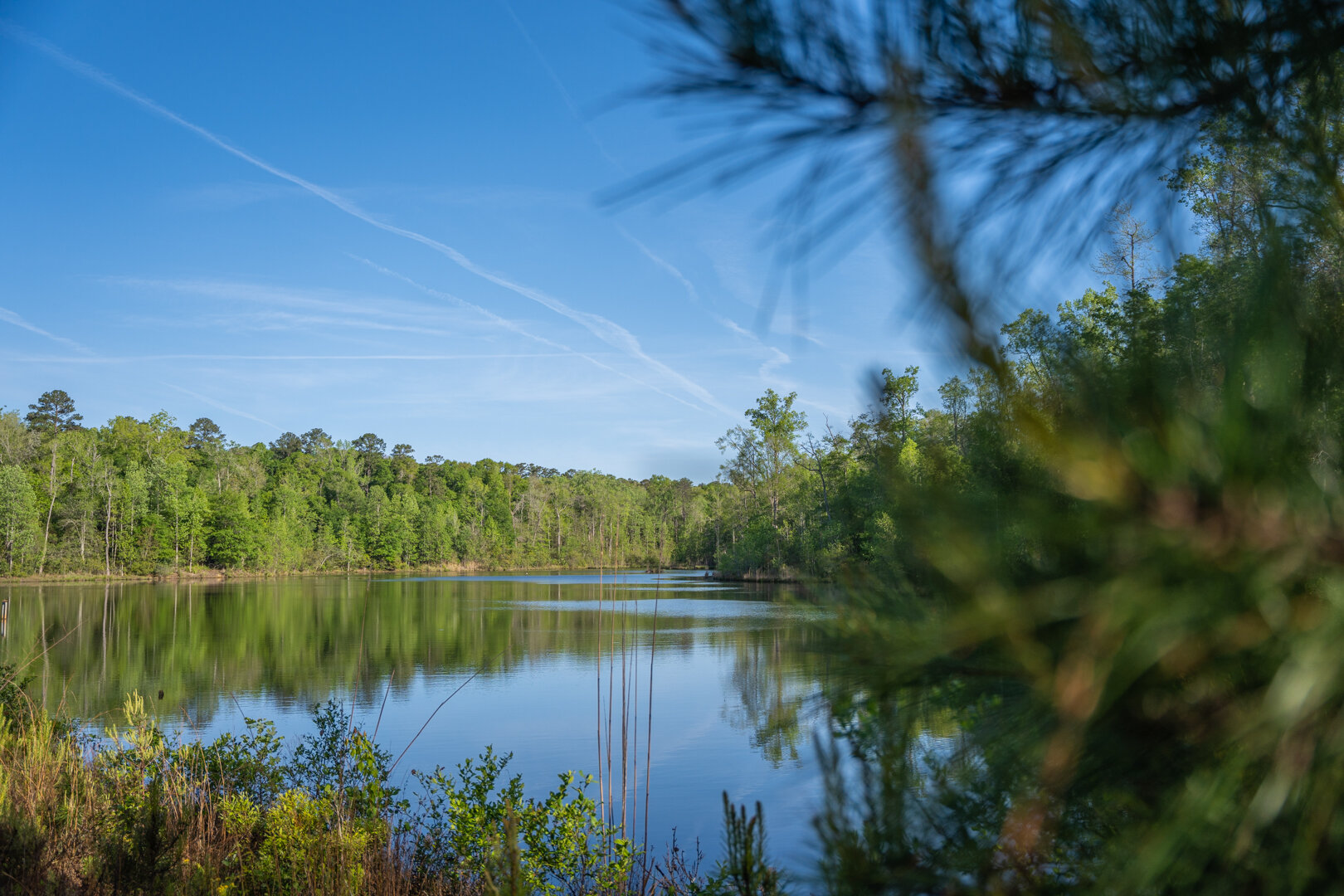 Image for 529+/- Acres Located in Webster County, Georgia - The Wills Estate
