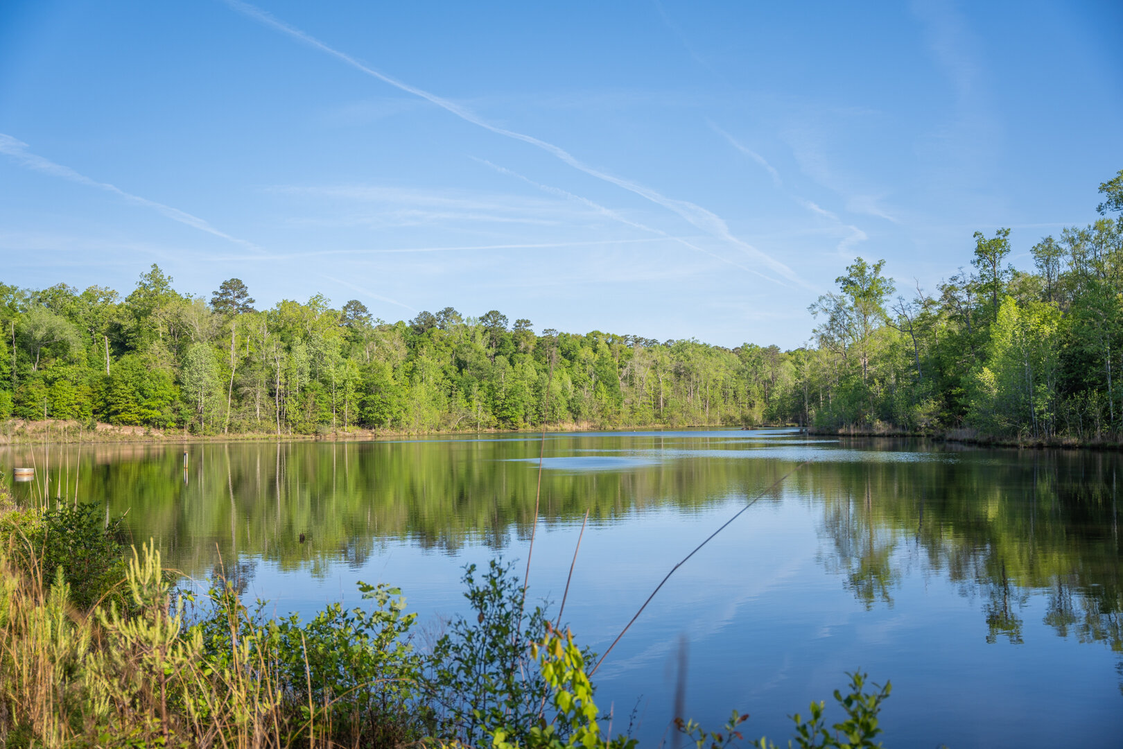 Image for 529+/- Acres Located in Webster County, Georgia - The Wills Estate