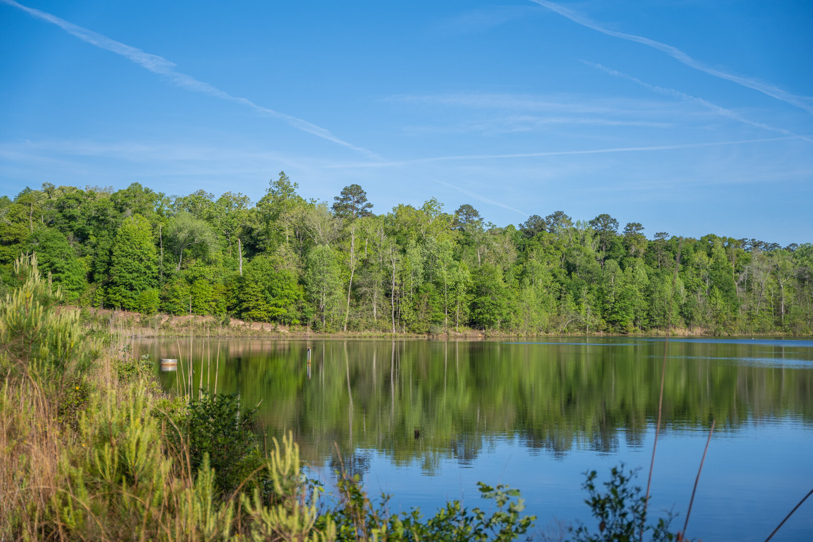 Image for 529+/- Acres Located in Webster County, Georgia - The Wills Estate