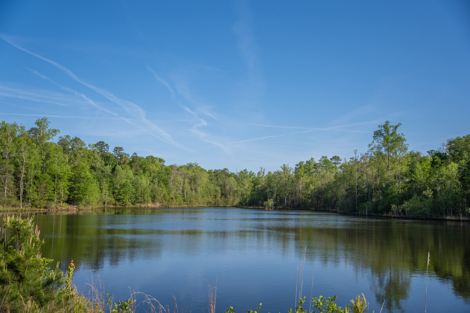 Image for 529+/- Acres Located in Webster County, Georgia - The Wills Estate
