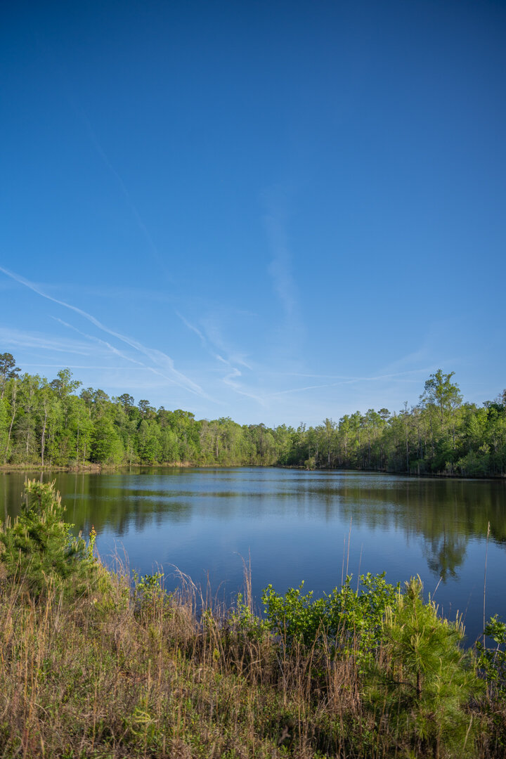 Image for 529+/- Acres Located in Webster County, Georgia - The Wills Estate