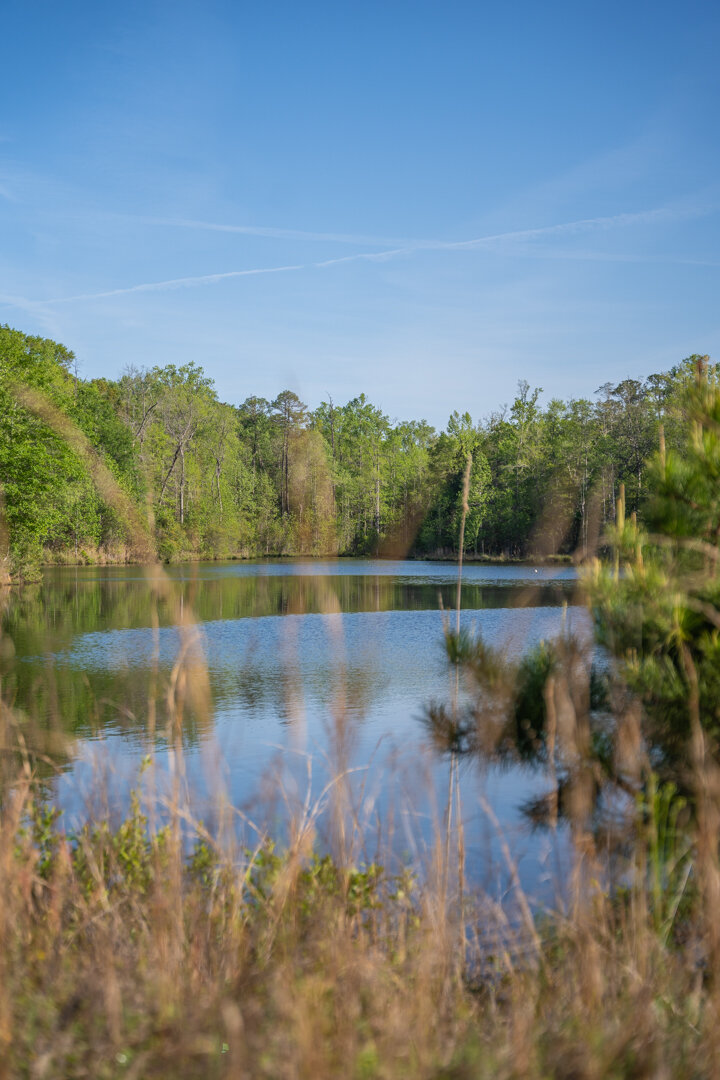 Image for 529+/- Acres Located in Webster County, Georgia - The Wills Estate
