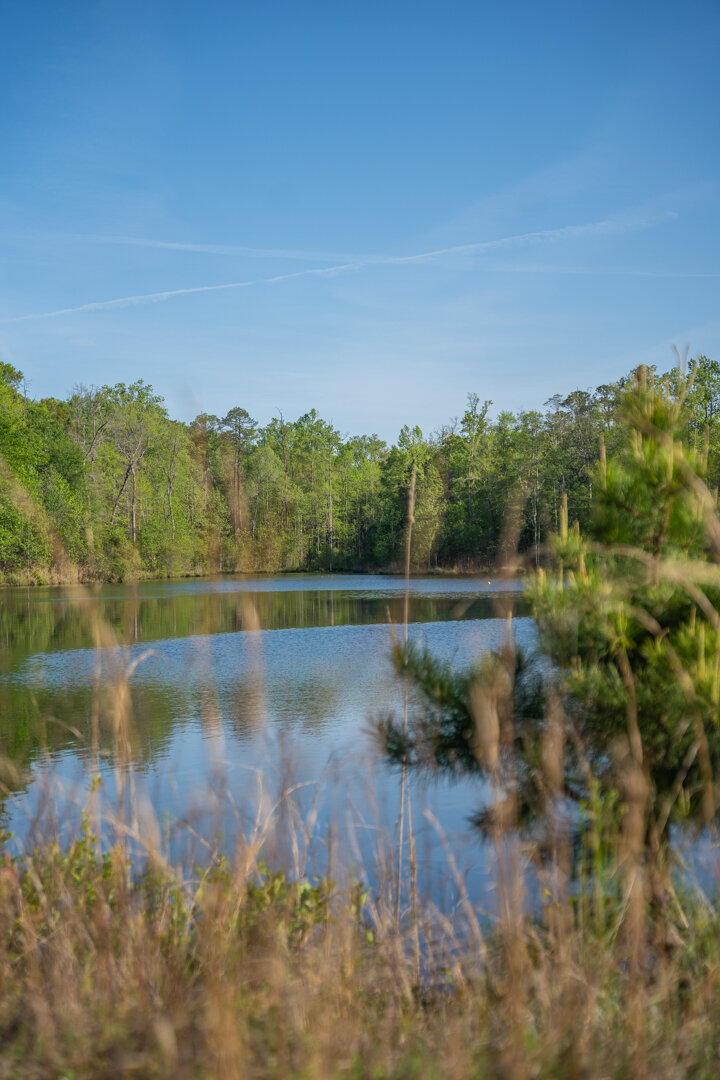 Image for 529+/- Acres Located in Webster County, Georgia - The Wills Estate