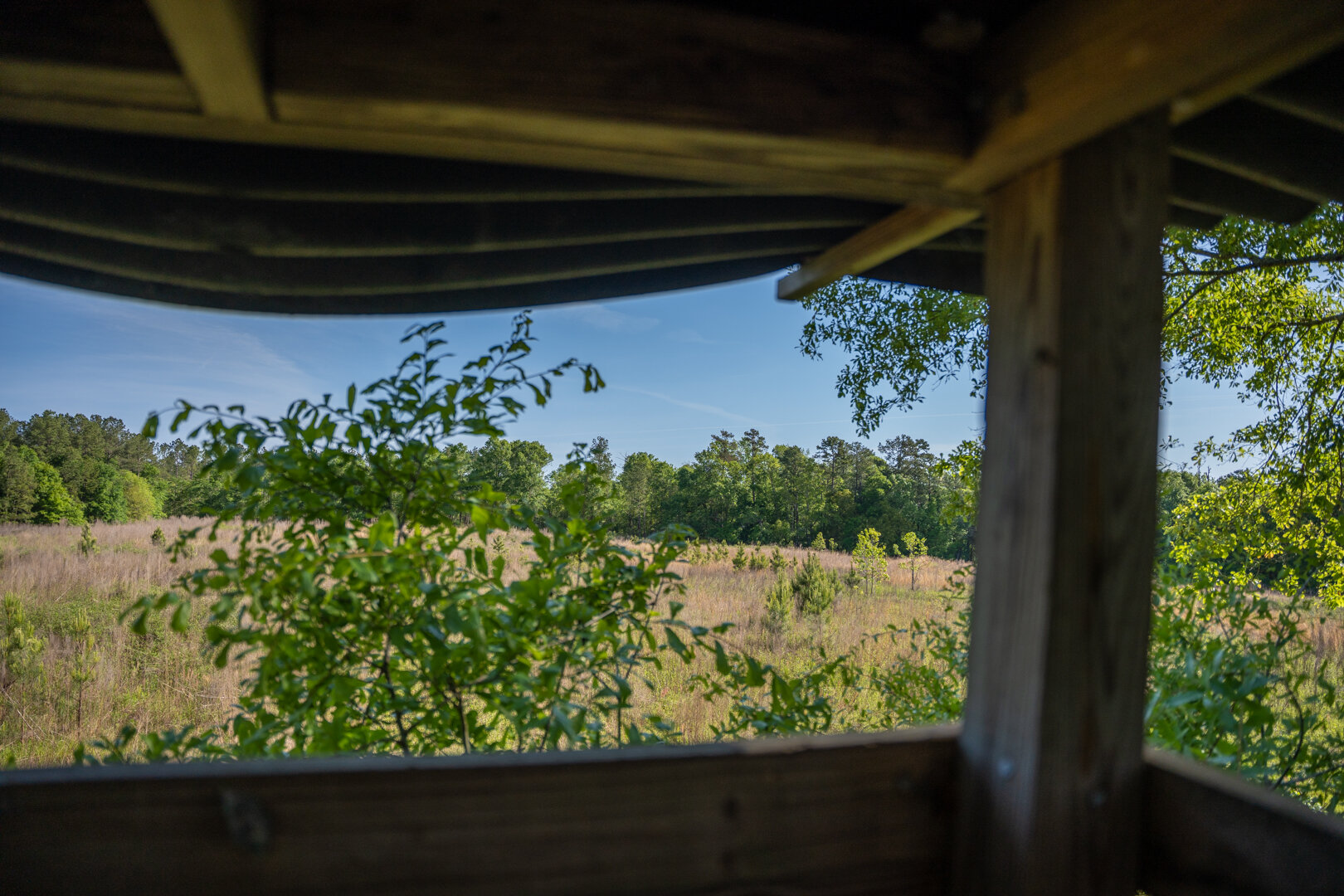 Image for 529+/- Acres Located in Webster County, Georgia - The Wills Estate