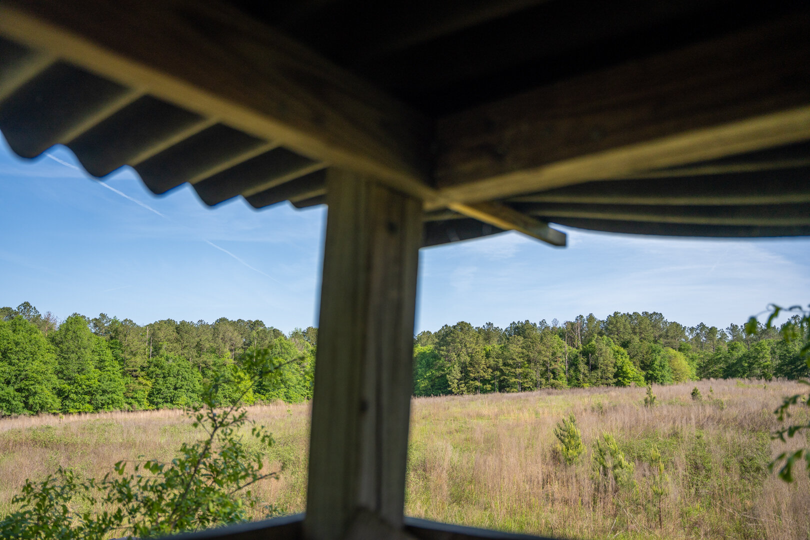 Image for 529+/- Acres Located in Webster County, Georgia - The Wills Estate