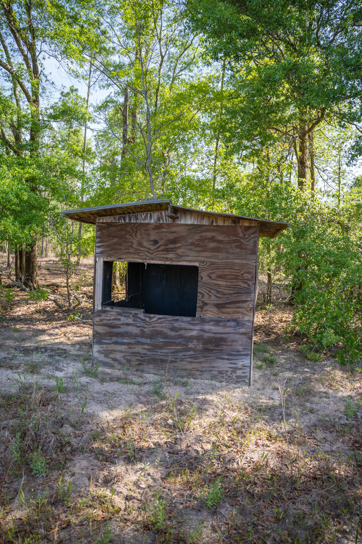 Image for 529+/- Acres Located in Webster County, Georgia - The Wills Estate