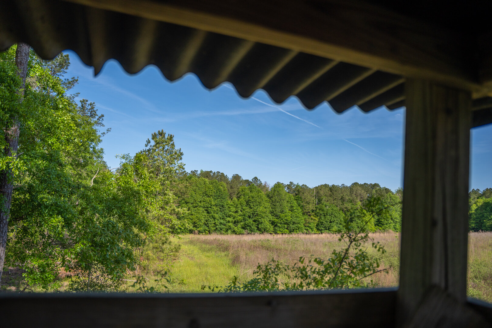 Image for 529+/- Acres Located in Webster County, Georgia - The Wills Estate