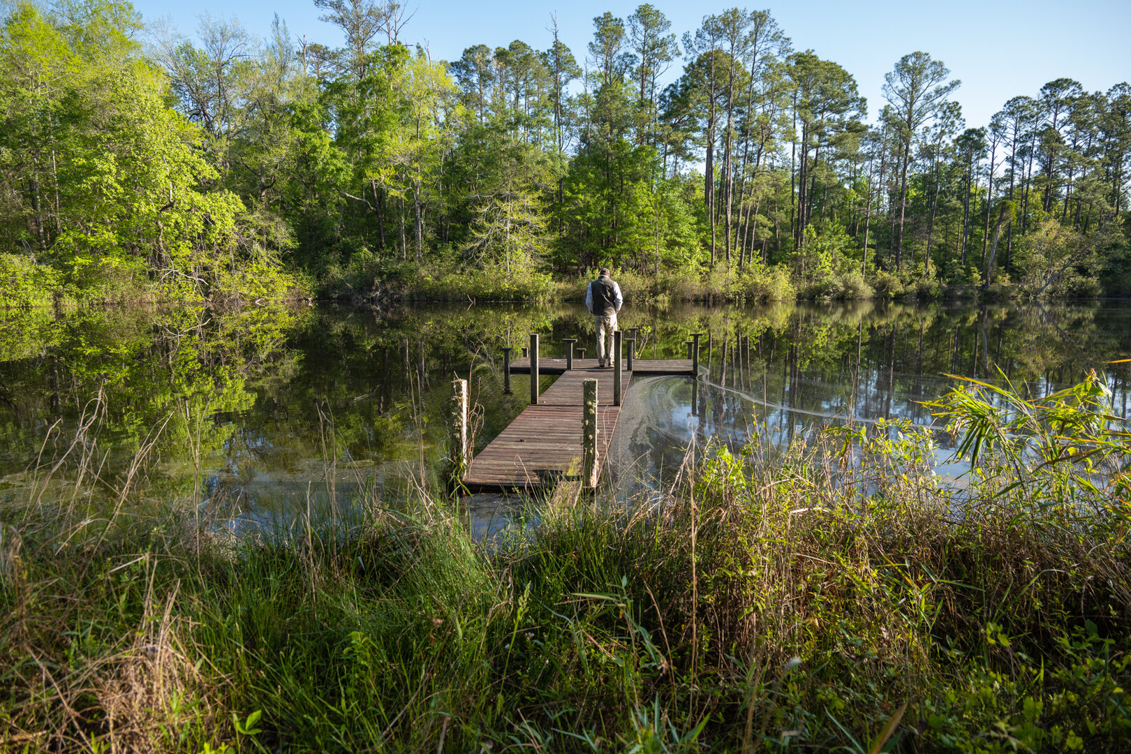 Image for 529+/- Acres Located in Webster County, Georgia - The Wills Estate