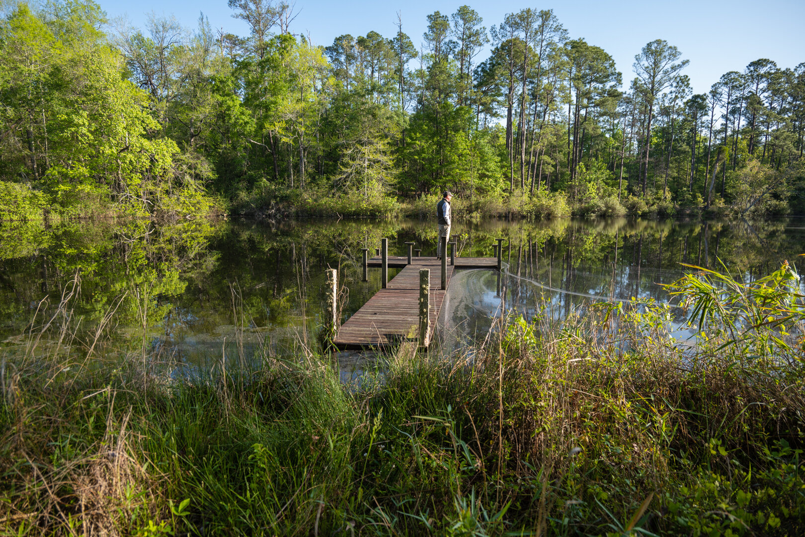 Image for 529+/- Acres Located in Webster County, Georgia - The Wills Estate