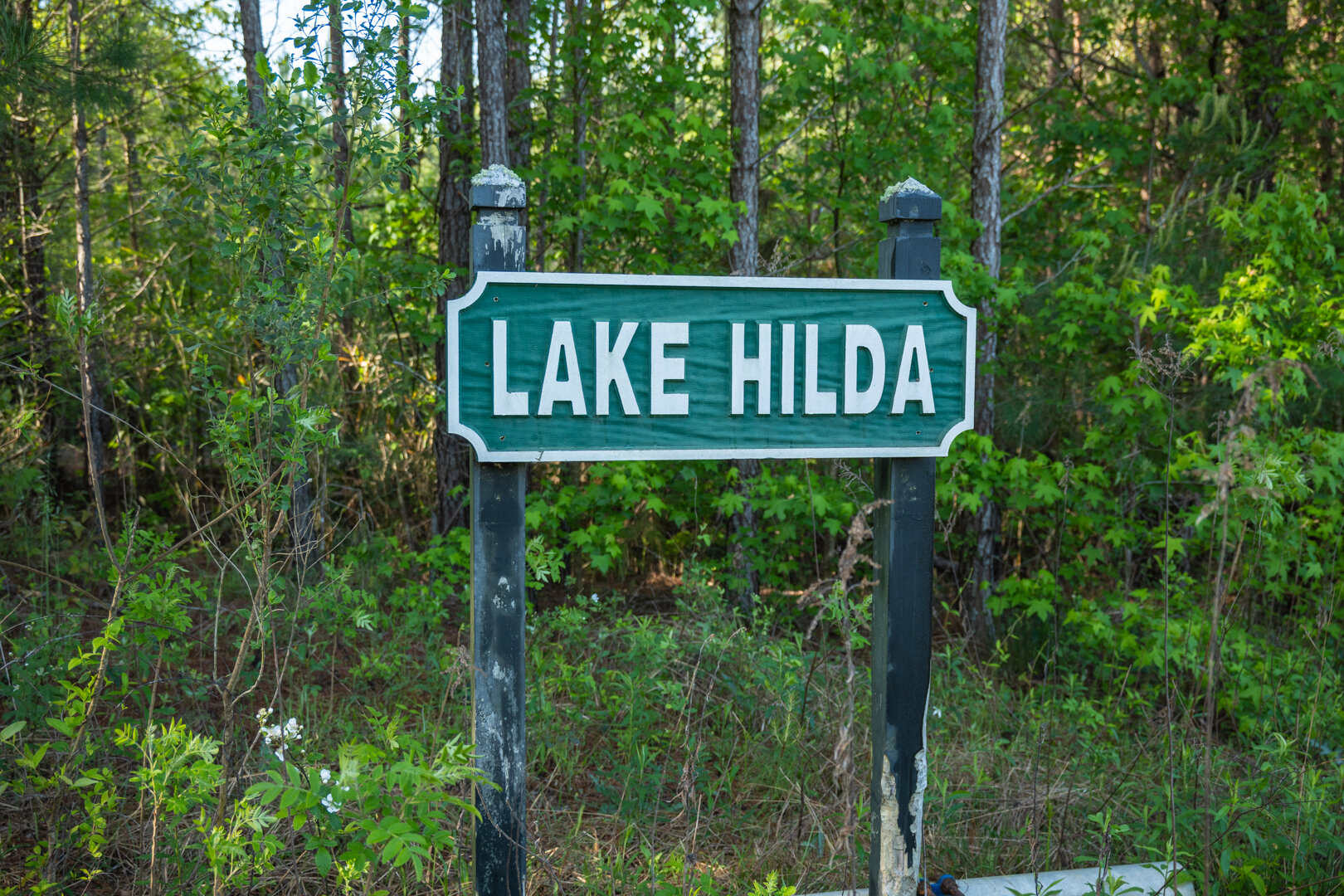 Image for 529+/- Acres Located in Webster County, Georgia - The Wills Estate