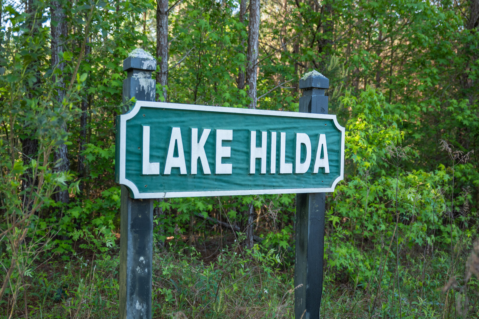 Image for 529+/- Acres Located in Webster County, Georgia - The Wills Estate