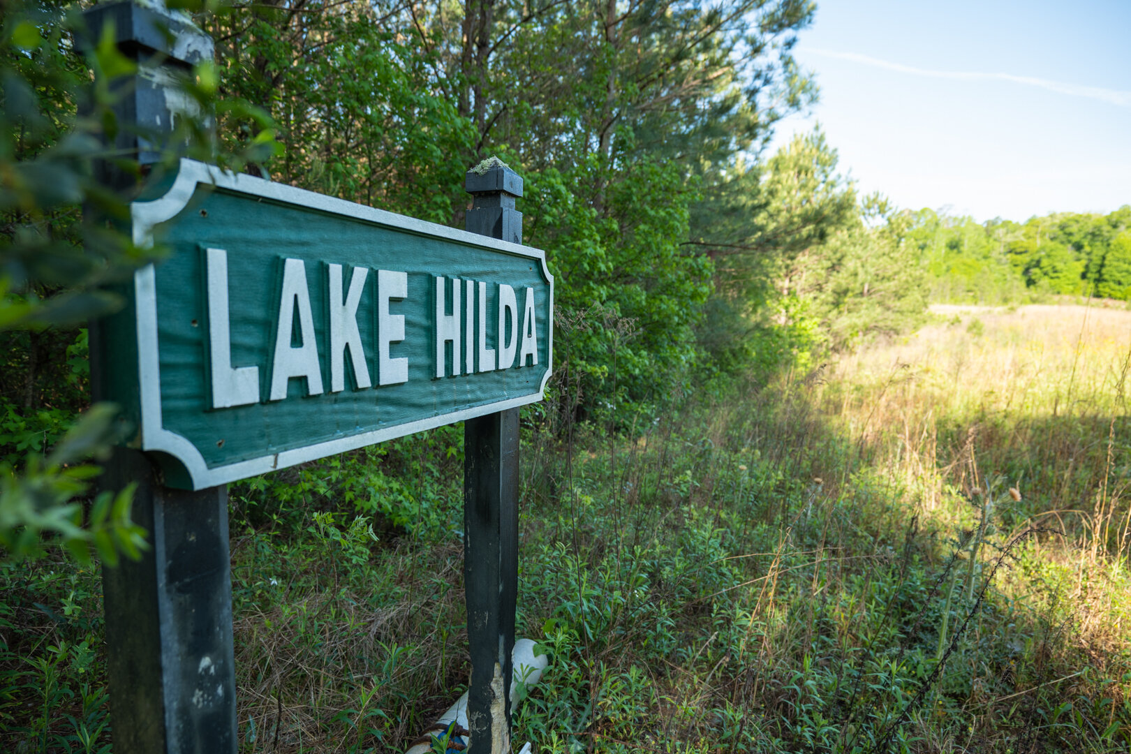 Image for 529+/- Acres Located in Webster County, Georgia - The Wills Estate