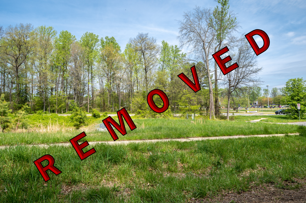 Fairfax County, VA Tax Delinquent Sale of Real Estate