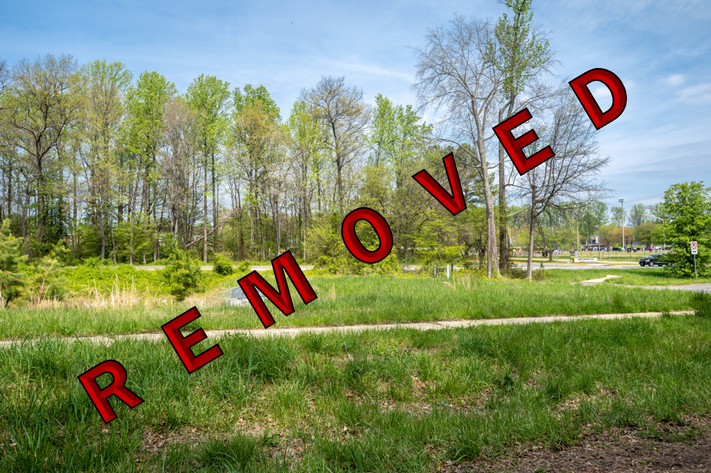 Image for Fairfax County, VA Tax Delinquent Sale of Real Estate