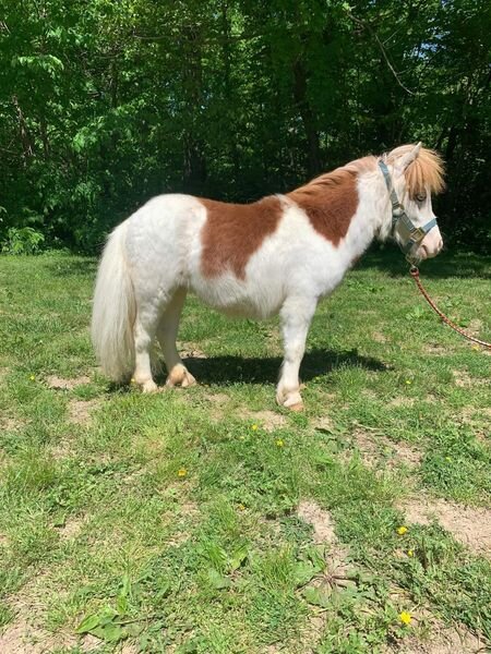 Image for 606 Sales and Events, LLC Memorial Day Sale