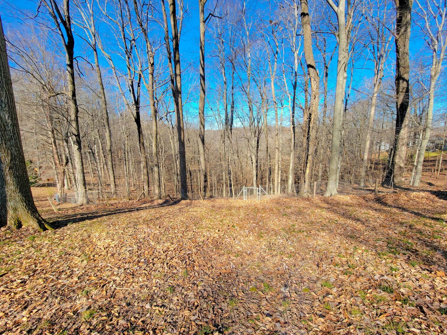 Image for 1719 Winding Way Drive, White House