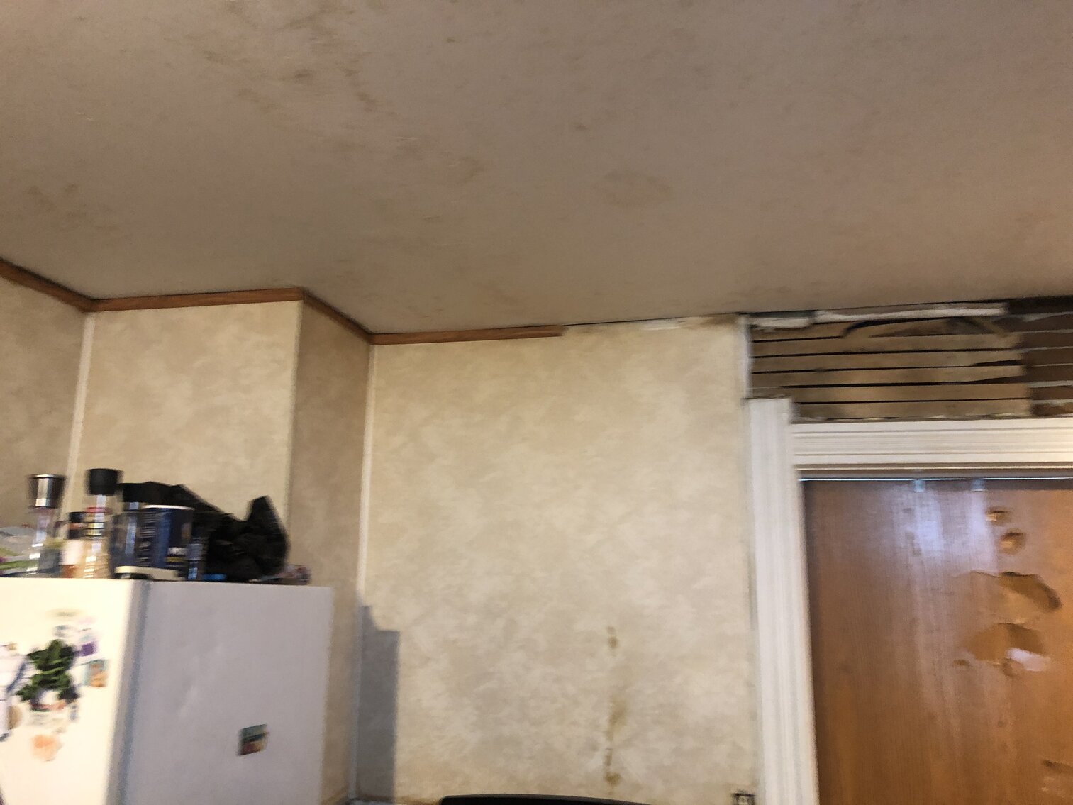 Image for 1124 Monterey Court, Toledo, Ohio 43609