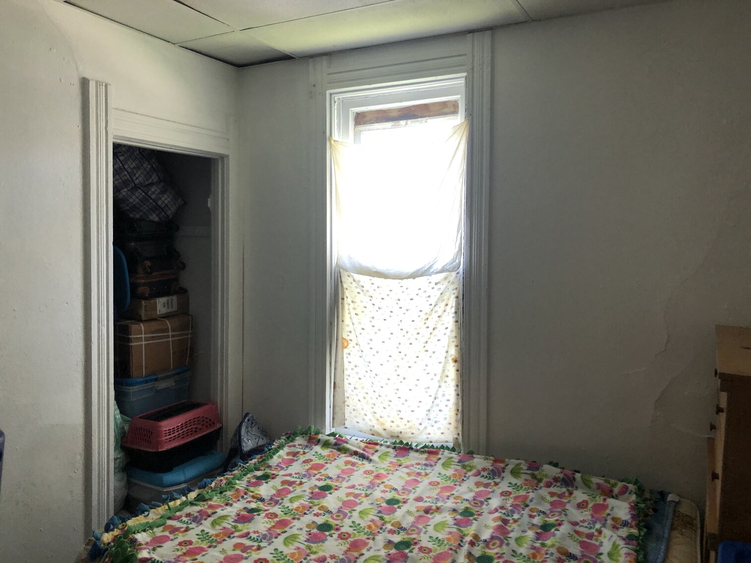 Image for 1124 Monterey Court, Toledo, Ohio 43609