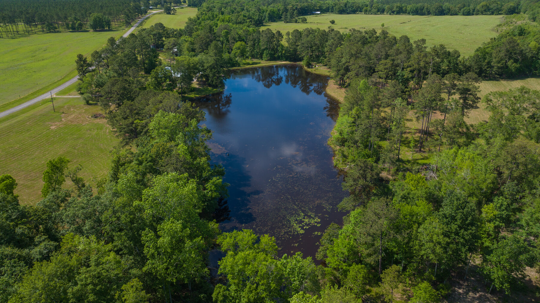 Image for 78+/- Acres and Home Located in Grady County, Georgia