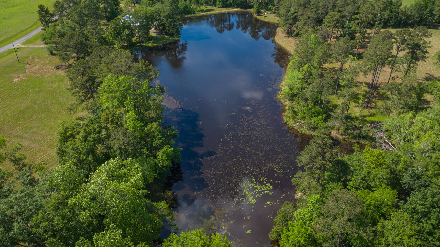 Image for 78+/- Acres and Home Located in Grady County, Georgia