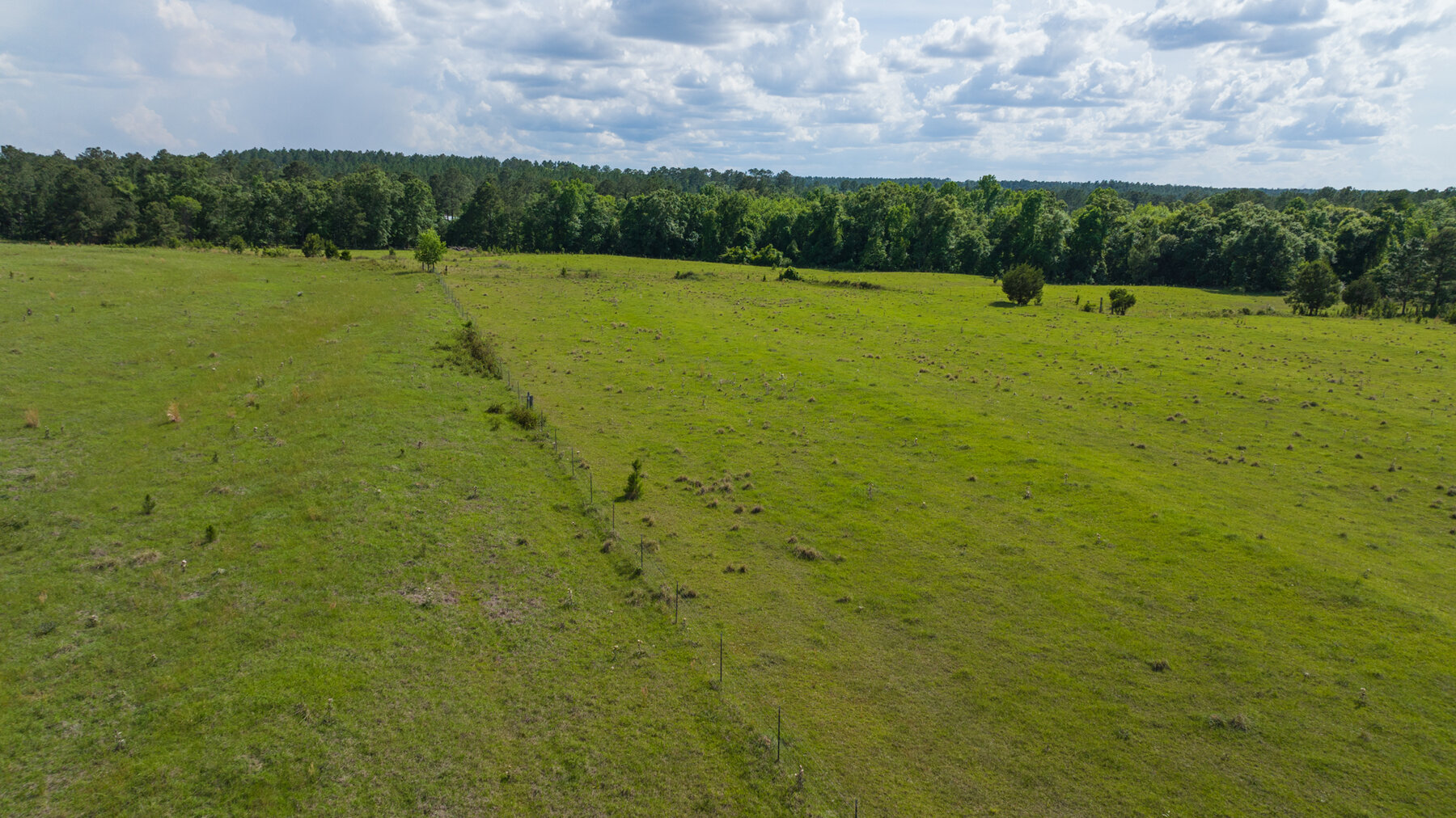 Image for 78+/- Acres and Home Located in Grady County, Georgia