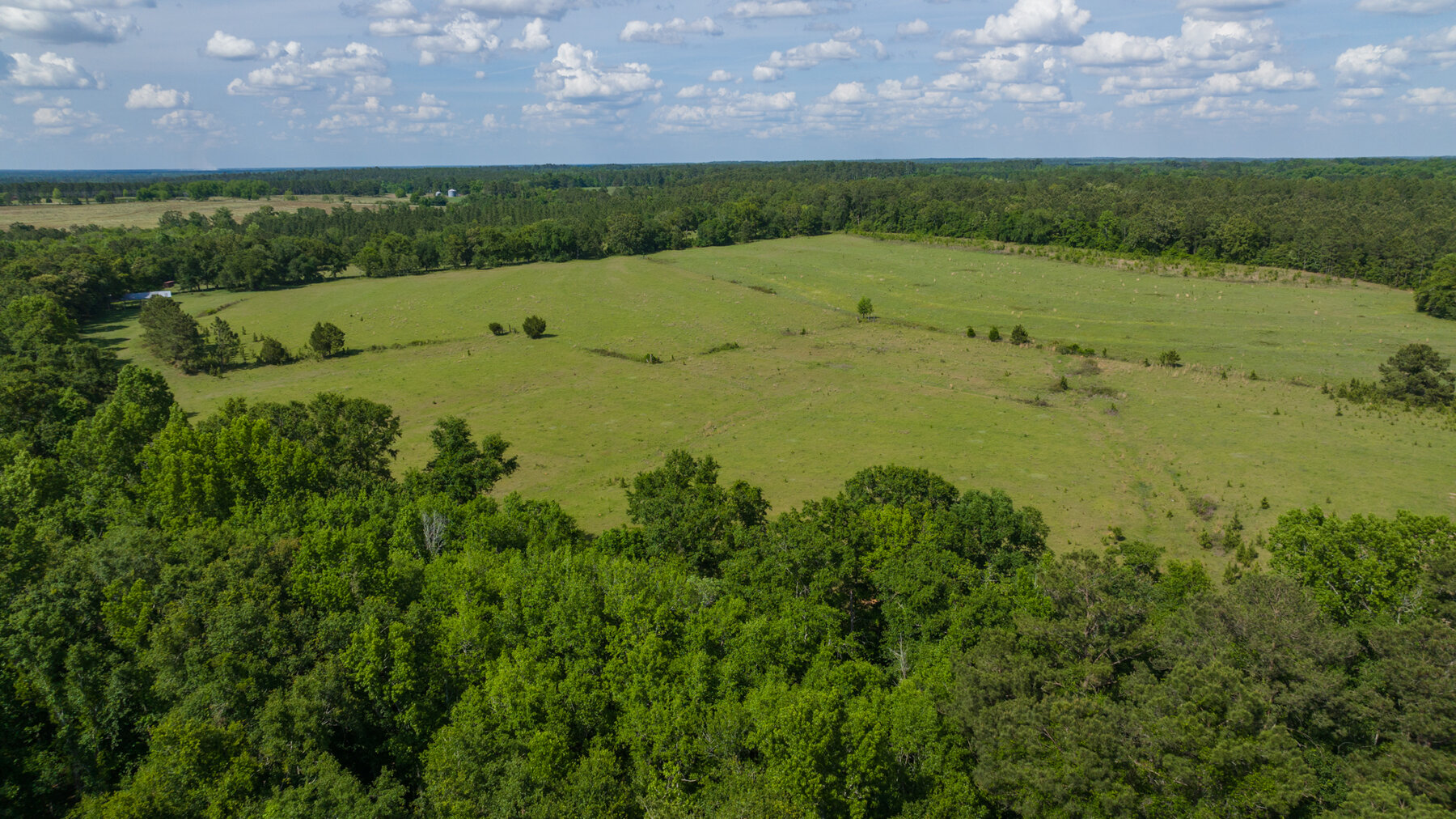 Image for 78+/- Acres and Home Located in Grady County, Georgia