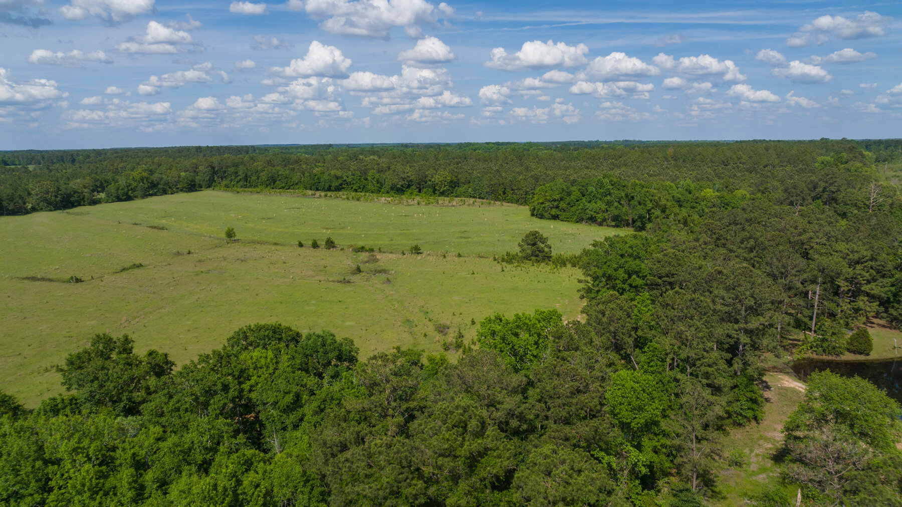 Image for 78+/- Acres and Home Located in Grady County, Georgia