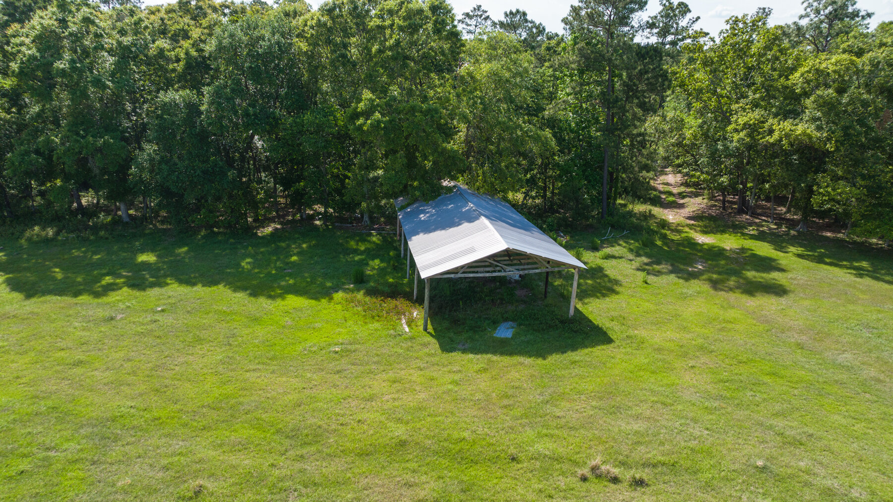 Image for 78+/- Acres and Home Located in Grady County, Georgia