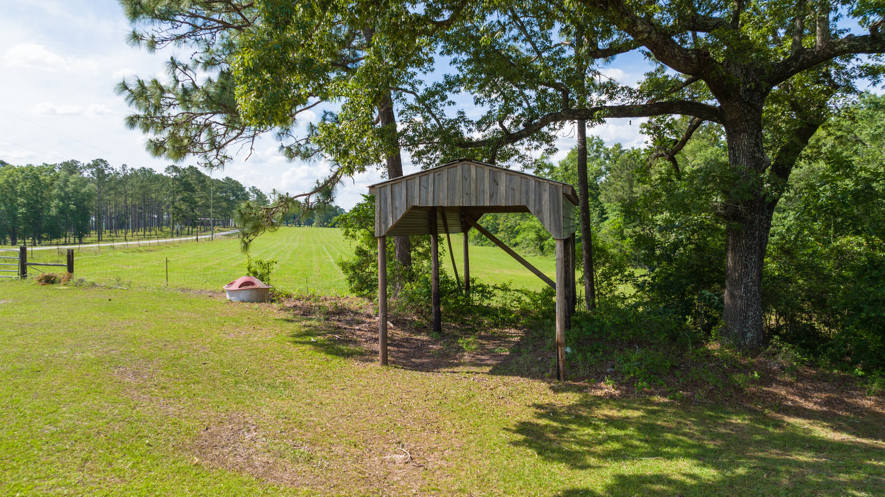 Image for 78+/- Acres and Home Located in Grady County, Georgia