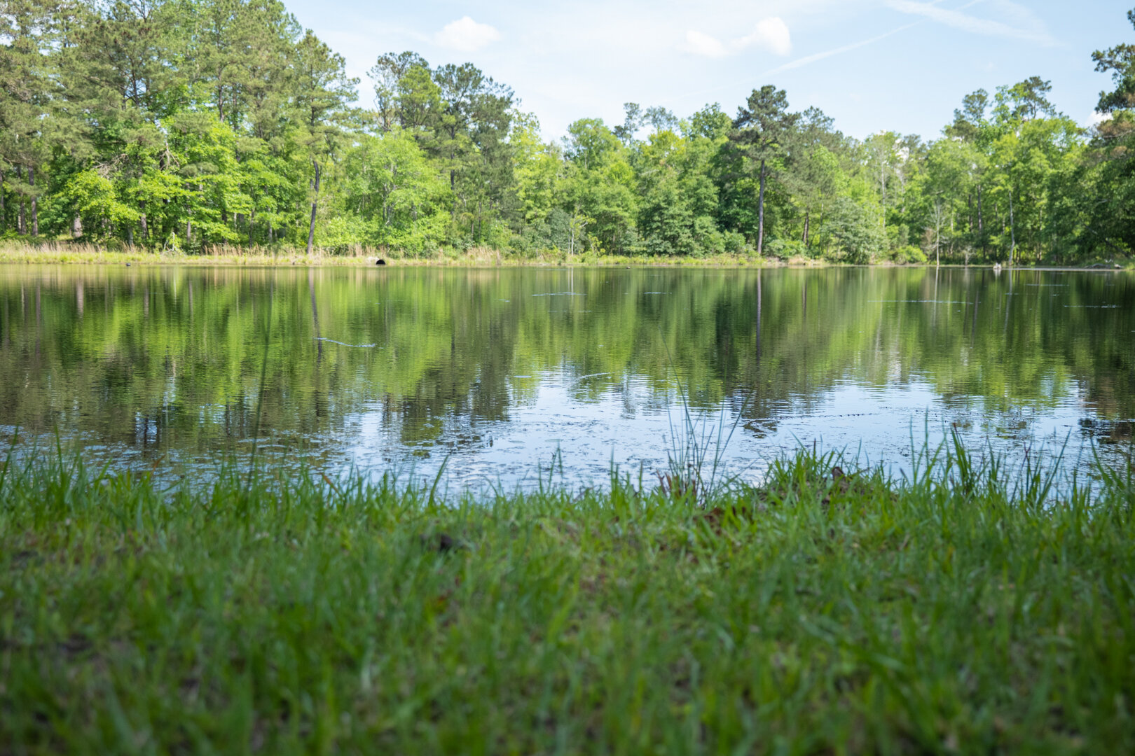 Image for 78+/- Acres and Home Located in Grady County, Georgia