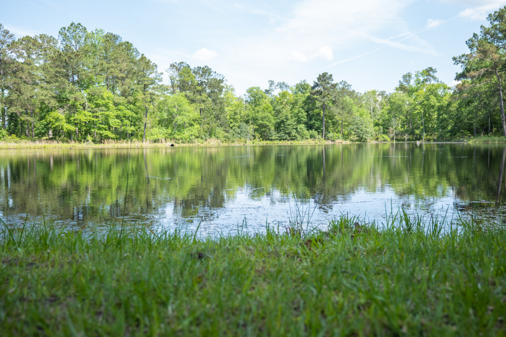 Image for 78+/- Acres and Home Located in Grady County, Georgia