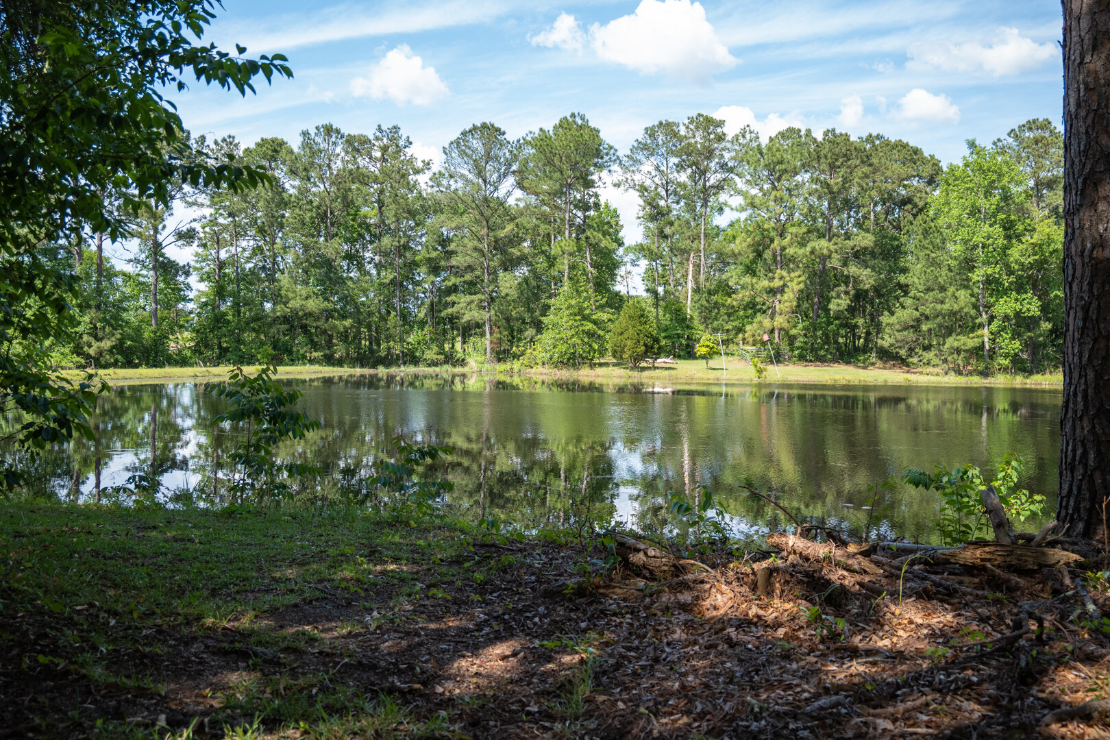 Image for 78+/- Acres and Home Located in Grady County, Georgia