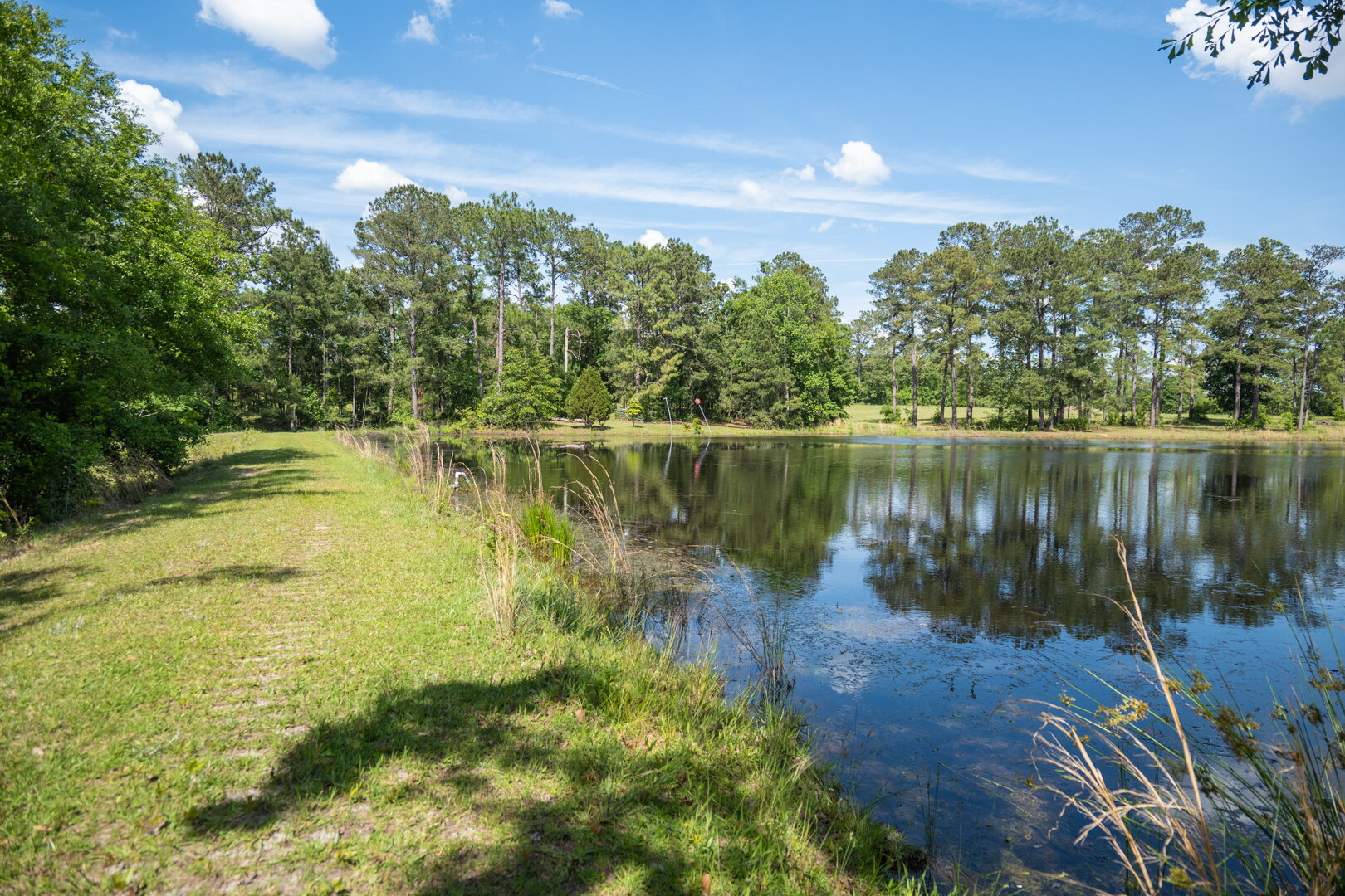 Image for 78+/- Acres and Home Located in Grady County, Georgia