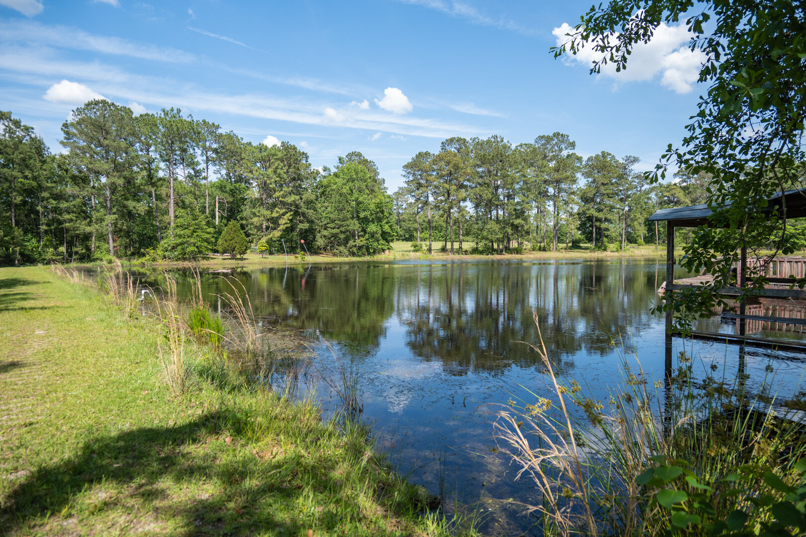 Image for 78+/- Acres and Home Located in Grady County, Georgia