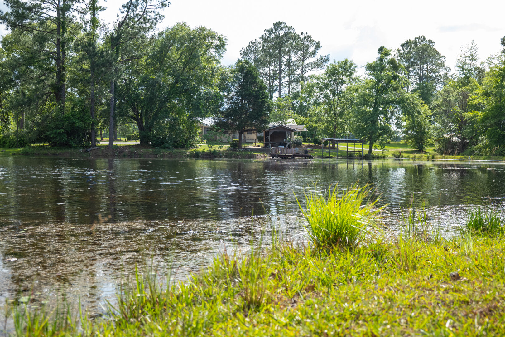 Image for 78+/- Acres and Home Located in Grady County, Georgia