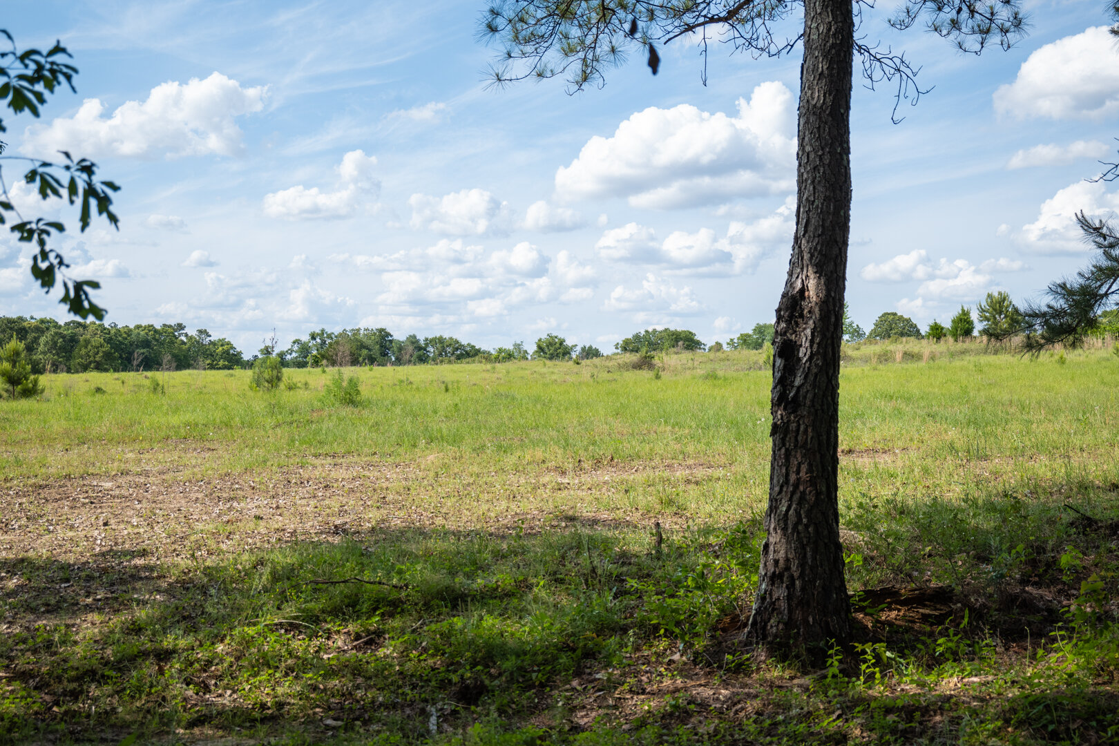 Image for 78+/- Acres and Home Located in Grady County, Georgia