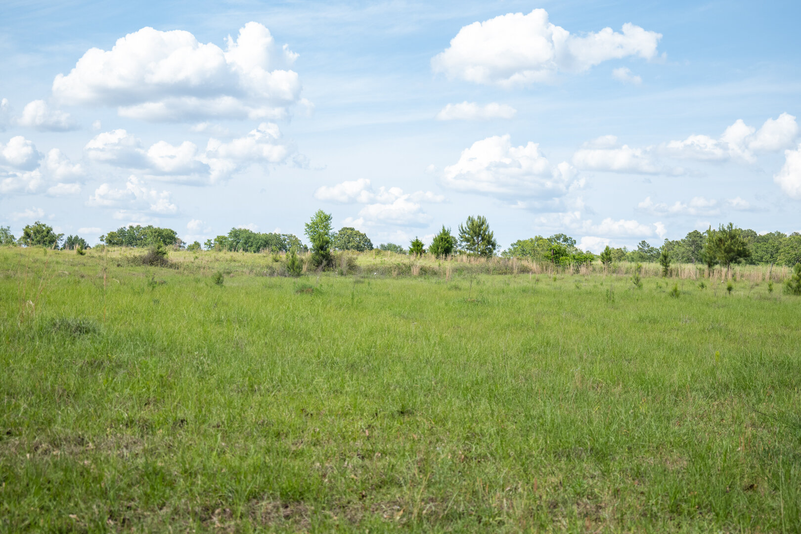 Image for 78+/- Acres and Home Located in Grady County, Georgia