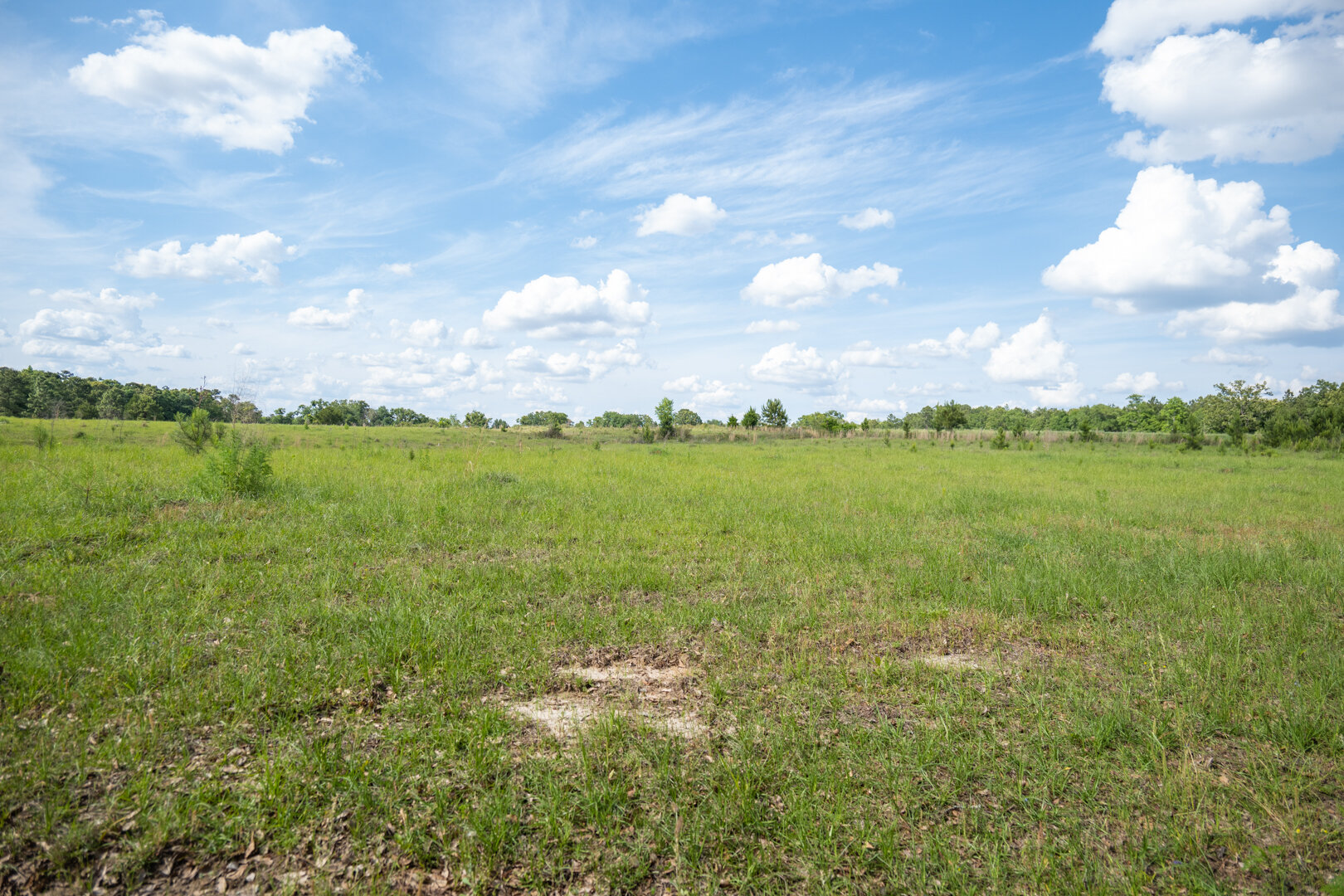 Image for 78+/- Acres and Home Located in Grady County, Georgia