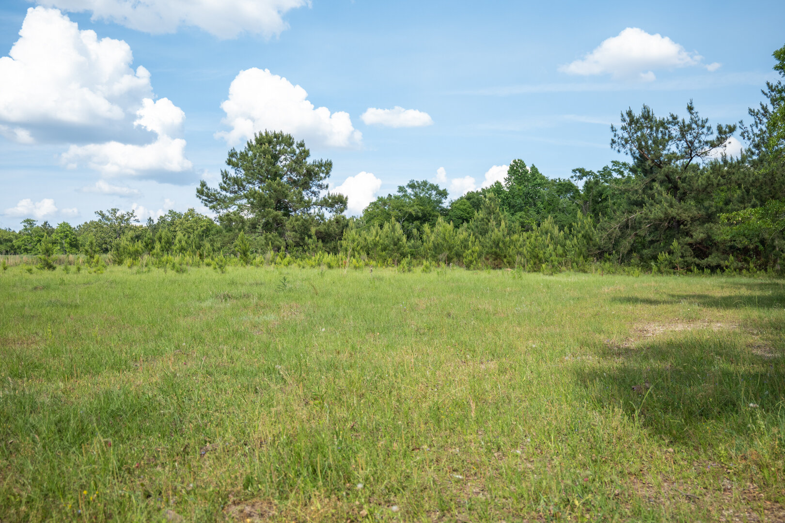 Image for 78+/- Acres and Home Located in Grady County, Georgia