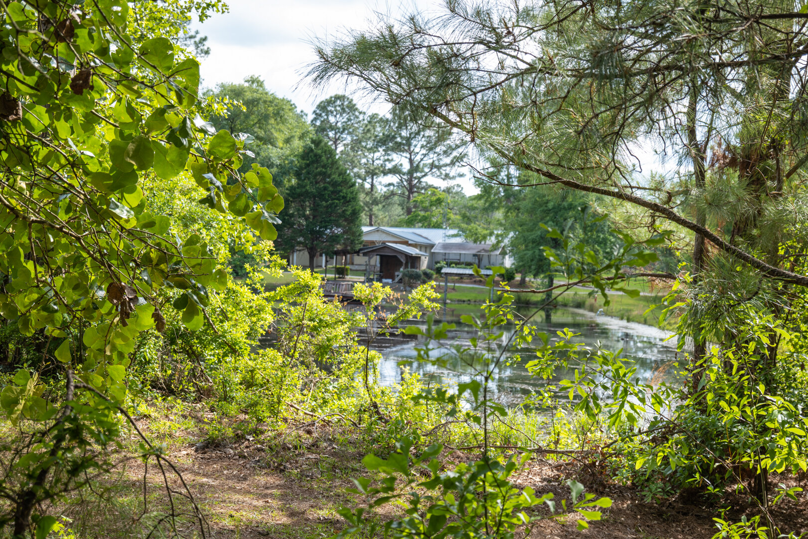 Image for 78+/- Acres and Home Located in Grady County, Georgia